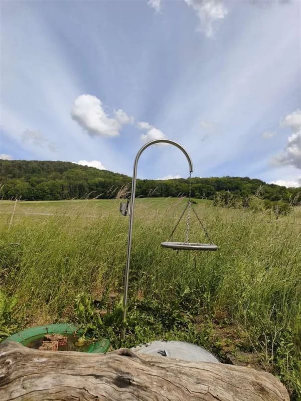Immobilie in Delligsen - Einmalige Chance: Eigenes Haupthaus - Bild 2