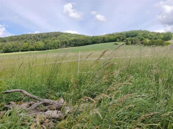 Immobilie in Delligsen - Einmalige Chance: Eigenes Haupthaus - Bild 3
