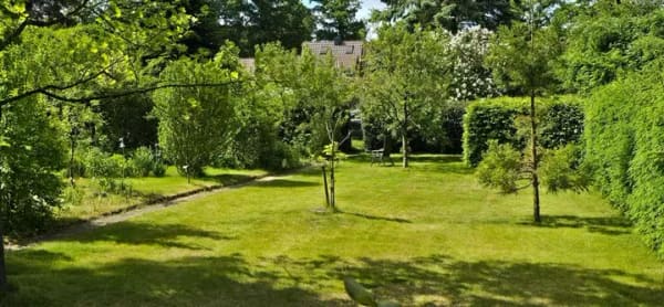Immobilie in Laage - Wohnen im Grünen – Gepflegte Doppelhaushälfte mit Wintergarten und großem Grundstück in Laage - Bild 3