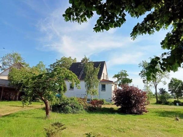 Immobilie in Kemberg - Einzigartiges Immobilien-Ensemble in Kemberg: Zwei Wohnhäuser, riesiges Grundstück (ca. 8.740 m²) - Bild 2