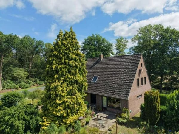 Immobilie in Worpswede - Großzügiges Wohnhaus in Worpswede - Neu Sankt Jürgen - Bild 3