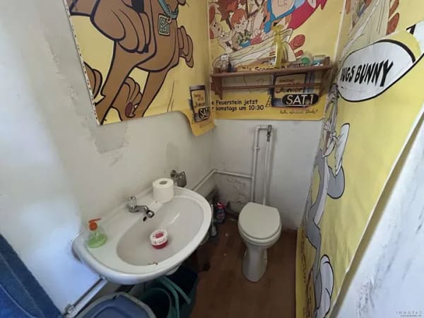 Immobilie in Carlsberg - Sanierungsbedürftiges Einfamilienhaus in naturnaher  Lage von Hertlingshausen - Bild 4