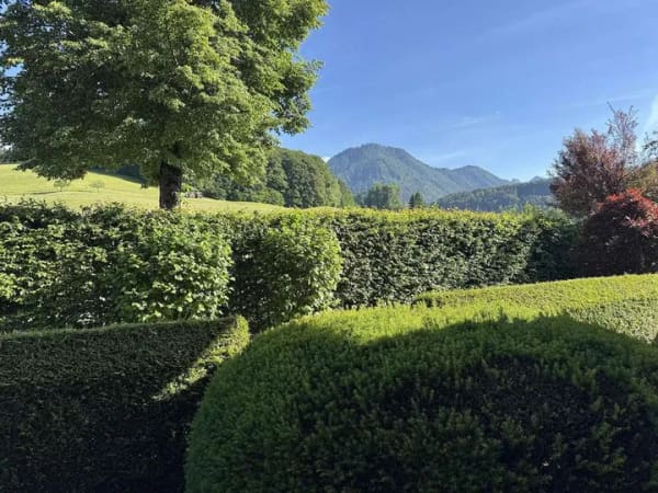 Immobilie in Ruhpolding - Wunderschöne 4-Zimmer-Wohnung mit traumhaftem Bergblick und 2 Hobbyräumen! - Bild 1