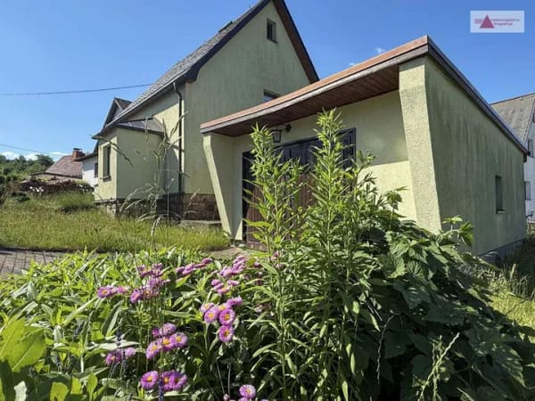Immobilie in Steinberg - Modernisiertes Einfamilienhaus mit Wärmepumpe, Garage & Einbauküche in Steinberg nahe Auerbach - Bild 1