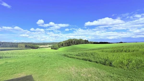 Immobilie in Neumarkt-Sankt Veit - ... AIGNER - Traumlage! Neubau EFH in erhöhter Position mit Bergblick - 10 Min nach Mühldorf & A94 ... - Bild 2