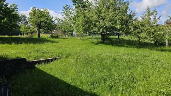 Immobilie in Neulingen - Gepflegtes Fachwerkhaus mit großem Garten,Garage und Scheune - Bild 3