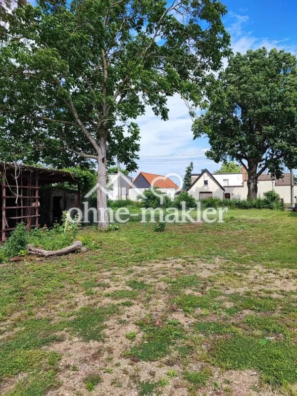 Immobilie in Südliches Anhalt - Einfamilienhaus freistehend in Libehna (Südliches Anhalt) - Bild 2