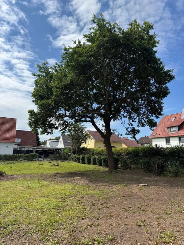 Immobilie in Staufenberg - Schöne Wohnlage trifft großes Potential - Renovierungsobjekt mit Neubauchance - Bild 2