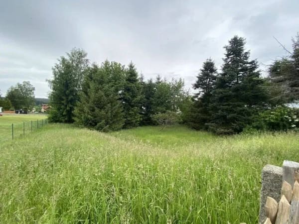 Immobilie in Grünhain-Beierfeld - BAUEN SIE SICH UND IHRE FAMILIE GLÜCKLICH - MIT EINEM EIGENEN HAUS! - Bild 3