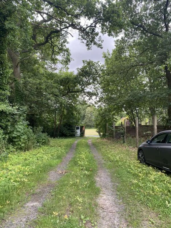 Immobilie in Rohrberg - Wohnen in naturnaher Randlage – Einfamilienhaus mit großzügigem Grundstück - Bild 1