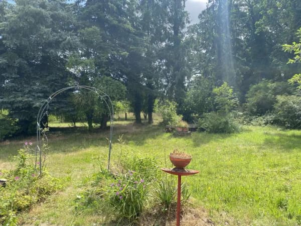 Immobilie in Rohrberg - Wohnen in naturnaher Randlage – Einfamilienhaus mit großzügigem Grundstück - Bild 4