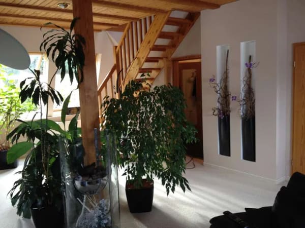Immobilie in Jahnsdorf/Erzgebirge - Wohnen wie im Urlaub – Zweifamilienhaus mit SPA-Garten und exklusivem Ambiente in Jahnsdorf - Bild 3