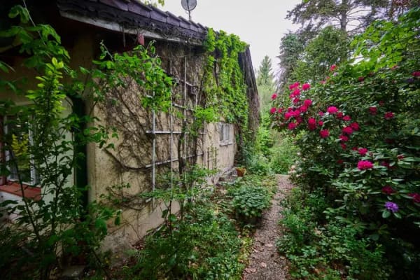Immobilie in Haselbach - Eingewachsenes Einfamilienhaus mit großzügigem Garten in Haselbach (sanierungsbedürftig) - Bild 4