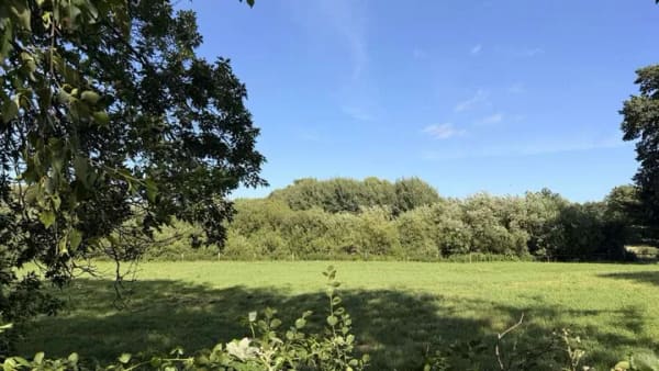 Immobilie in Molfsee - Großzügiges Wohnen in ruhiger Lage von Molfsee – vielseitig nutzbares Zuhause mit zwei Einheiten - Bild 3