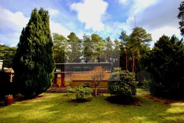 Immobilie in Neu Zauche - Großes Freizeitgrundstück mit zwei Bungalows in idyllischer Waldlage im Spreewald! - Bild 2