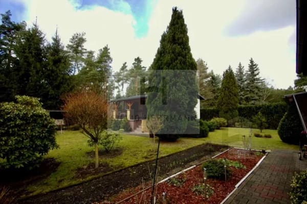 Immobilie in Neu Zauche - Großes Freizeitgrundstück mit zwei Bungalows in idyllischer Waldlage im Spreewald! - Bild 3