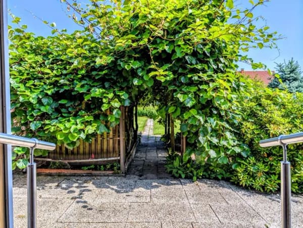 Immobilie in Haren (Ems) - Potenzial trifft Substanz – gestalten Sie Ihr neues Zuhause in Haren / Emmeln! - Bild 4
