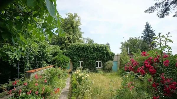 Immobilie in Dorf Mecklenburg - Für Naturliebhaber und Bahnfans - Bild 4