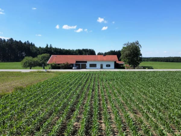Immobilie in Vogtareuth - Anwesen auf großem Grund, mit Halle und Nebengebäude sowie genehm. Vorbescheid für Neubau mit 5 WE - Bild 1