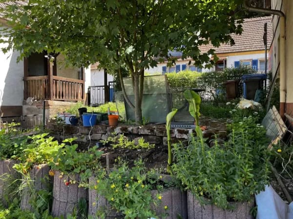 Immobilie in Dahn - Kleines Häuschen mit großem Garten - Bild 0