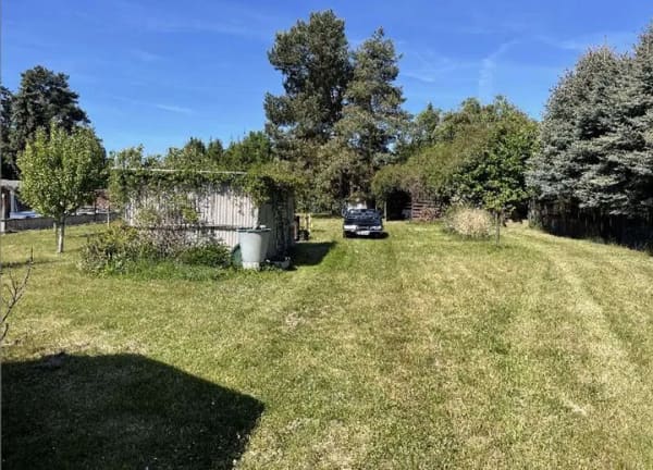 Immobilie in Aken (Elbe) - Ihr Traum vom Eigenheim mit vielseitiger Obstplantage - Bild 4