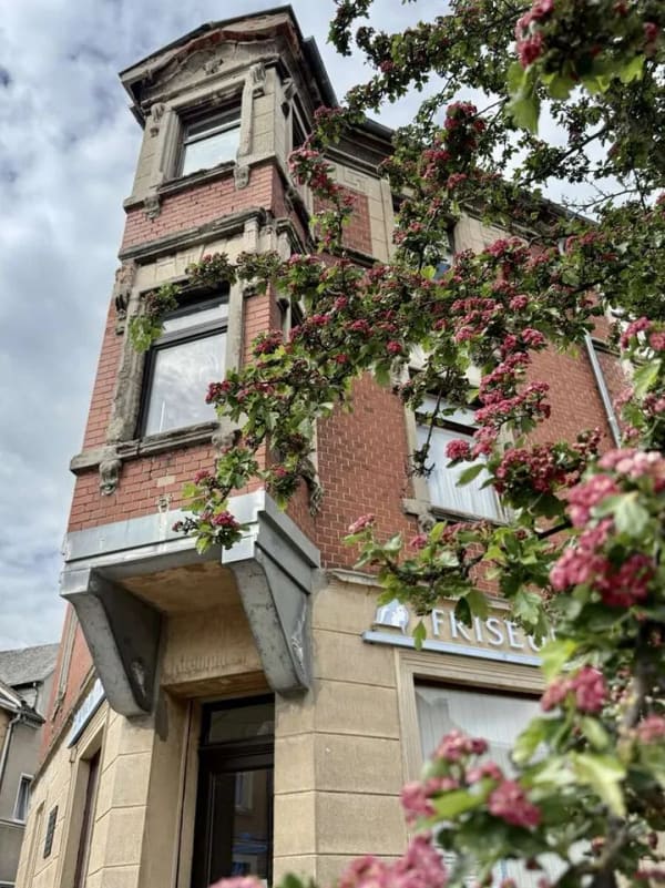 Immobilie in Großschirma - Denkmalgeschütztes Mehrfamilienhaus mit außergewöhnlichem Entwicklungspotenzial – nur ca. 20 Minuten - Bild 2