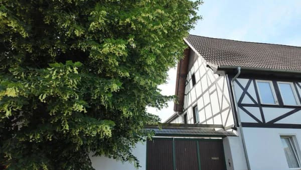 Immobilie in Walschleben - GROßZÜGIGES WOHNENSEMBLE MIT 3 WOHNEINHEITEN, INNENHOF, NEBENGEBÄUDEN UND GROßEM GRUNDSTÜCK - Bild 0
