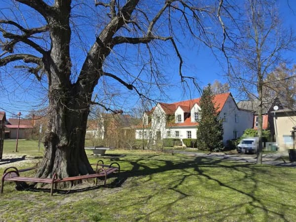Immobilie in Bad Belzig - Land-Lust bei Bad Belzig - Wohngenutzte Hofanlage mit saniertem Haupthaus zzgl. Ausbaumöglichkeiten - Bild 1