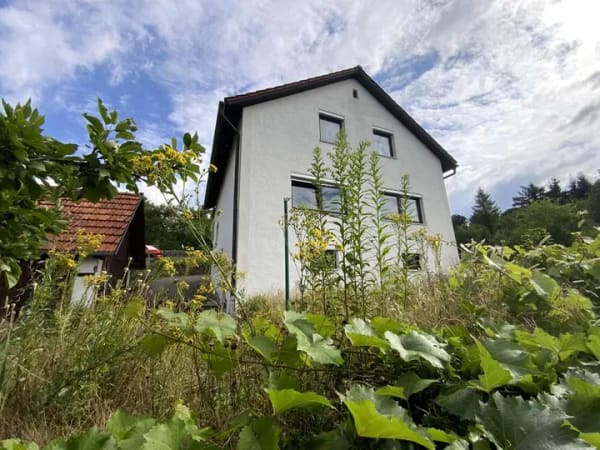 Immobilie in Wellheim - Einfamilienhaus in Wellheim - Außergewöhnliches Wohnen am Hang - Bild 1