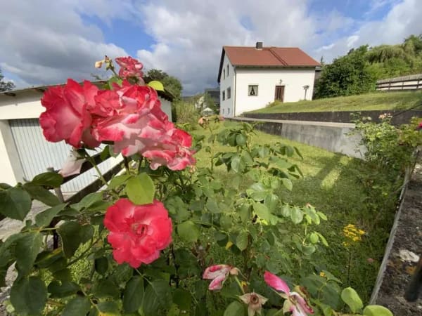 Immobilie in Wellheim - Einfamilienhaus in Wellheim - Außergewöhnliches Wohnen am Hang - Bild 3
