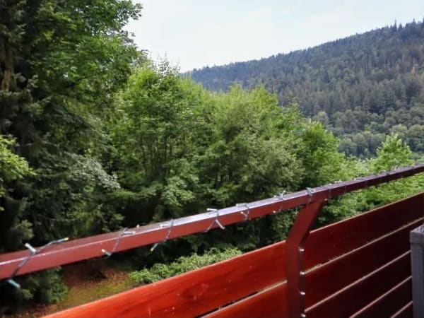 Immobilie in Bad Wildbad - Attraktive 2-Zimmer Wohnung in Bad Wildbad mit zwei Balkonen und herrlicher Aussicht. - Bild 3