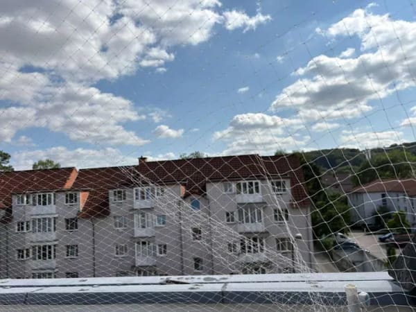Immobilie in Osnabrück - Gepflegtes Appartement mit Balkon und Einbauküche – attraktive Kapitalanlage - Bild 3