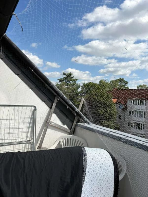 Immobilie in Osnabrück - Gepflegtes Appartement mit Balkon und Einbauküche – attraktive Kapitalanlage - Bild 4