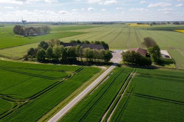 Immobilie in Dornum - Gulfhof mit viel Platz und die Nordsee vor der Haustür - Bild 3
