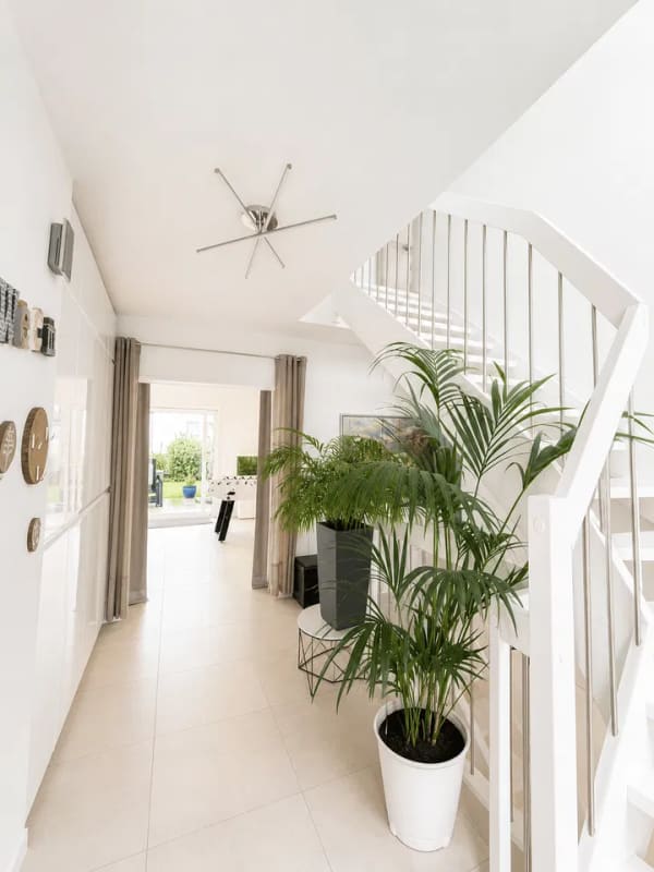 Immobilie in Sünching - Modernes Familienhaus mit über 190 m² Wohnfläche, Wohnkeller und Energieklasse A+ - Bild 1