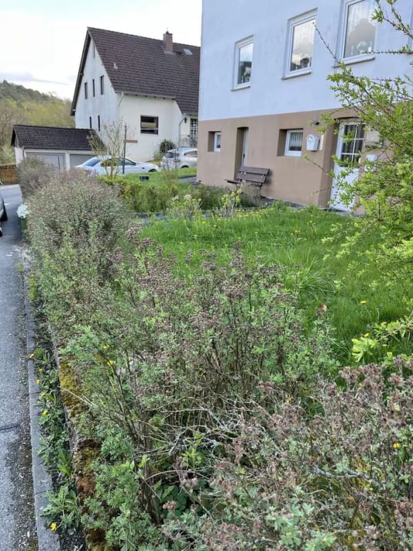 Immobilie in Liebenburg - Mehrfamilienhaus in Liebenburg - Groß Döhren - Bild 1