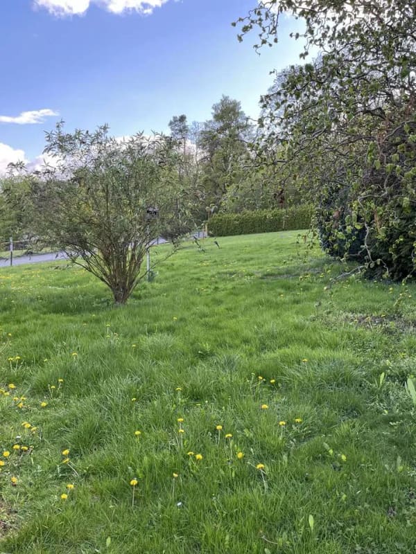 Immobilie in Liebenburg - Mehrfamilienhaus in Liebenburg - Groß Döhren - Bild 3