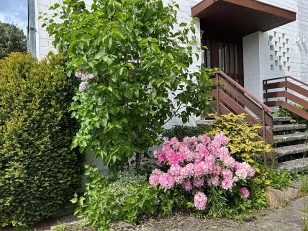 Immobilie in Winsen (Luhe) - Schöne DHH mit viel Raum zur Gestaltung  - Bild 1