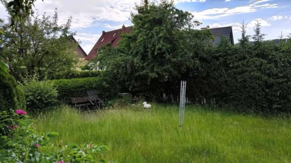 Immobilie in Bodenwerder - Gemütliches Einfamilienhaus mit Kamin, sonniger Terrasse und großem Garten in Bodenwerder - Bild 3