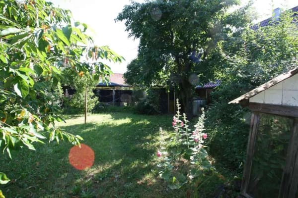 Immobilie in Schwarza - Einfamilienhaus mit Scheune und schönem Garten in Schwarza - Bild 4