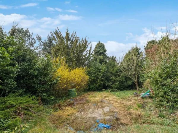 Immobilie in Kleinostheim - Große 4-Zimmer-Eigentumswohnung mit XXL-Grundstück im schönen Kleinostheim - Bild 1