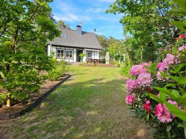 Immobilie in Höhbeck - 3-Zimmer Einfamilienhaus zum Verkauf - Bild 0