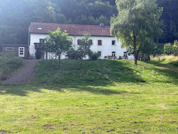 Immobilie in Bleialf - Ehemaliges Bauernhaus - Ein-/Zweifamilienhaus / Ferienobjekt in Bleialf - Bild 4