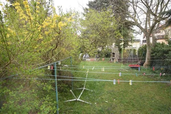 Immobilie in Blankenburg - Kapitalanleger aufgepasst: Großes Stadthaus mit 6 Wohneinheiten in guter Lage! - Bild 1