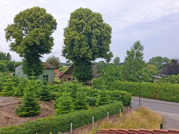 Immobilie in Fleckeby - Schönes Haus für die kleine Familie - Bild 4