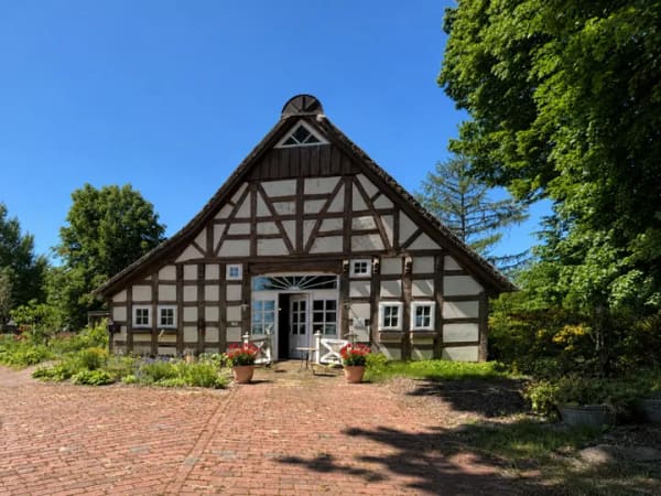 Immobilie in Goldenstedt - Einfamilienhaus freistehend in Goldenstedt - Bild 0