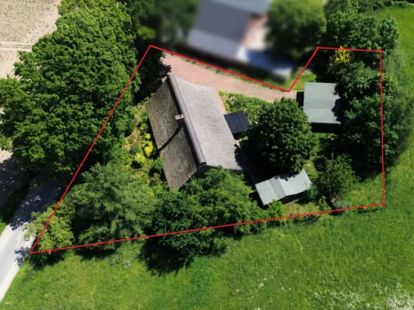 Immobilie in Goldenstedt - Einfamilienhaus freistehend in Goldenstedt - Bild 1