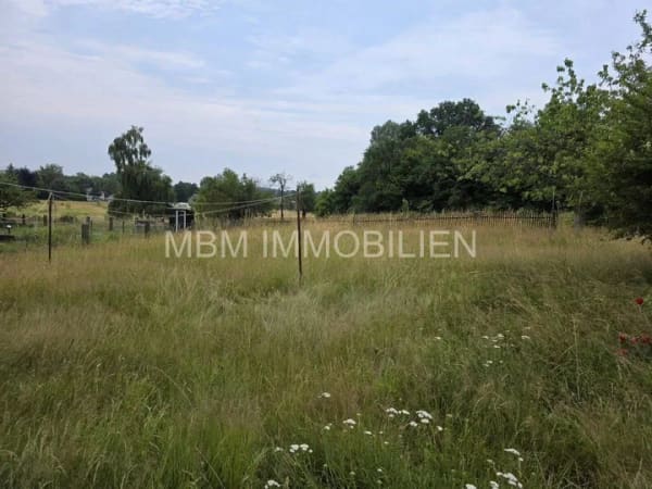 Immobilie in Haselbachtal - Haselbachtal - Hier fühlen Sie sich wohl - Bild 4