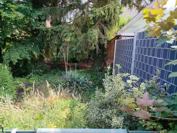 Immobilie in Höchst im Odenwald - Top Lage, sehr ruhig in Höchst nahe Innenstadt - Bild 4