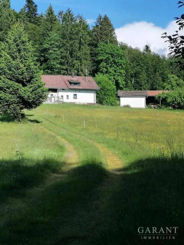 Immobilie in Hohenau - Bauernhaus mit zwie Bauplätzen - gültige Bauvoranfrage liegt vor! - Bild 2